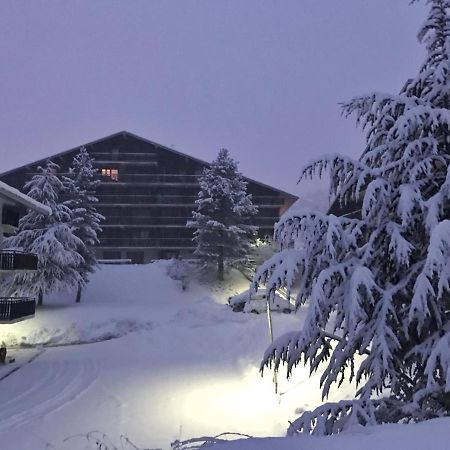 Auron Montain View Apartment ภายนอก รูปภาพ